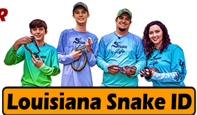 Click to visit Louisiana Snake ID