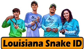 Click to visit Louisiana Snake ID